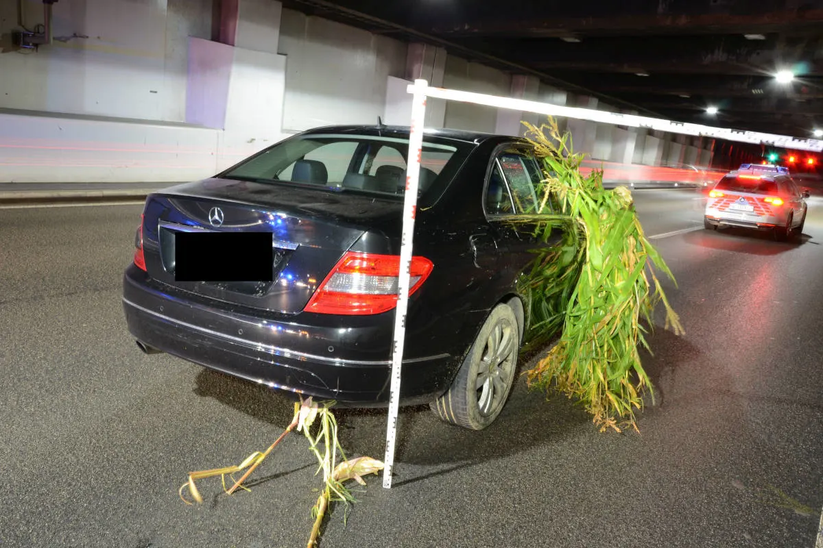 Muttenz BL - Alkoholisierter Fahrzeuglenker nach Selbstunfall gestoppt