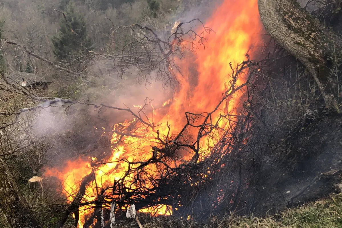 Blauen BL – Entsorgte Asche führte zu Brandausbruch