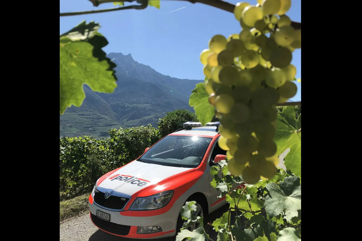 Wallis VS - Verkehrsprävention zur Weinlese