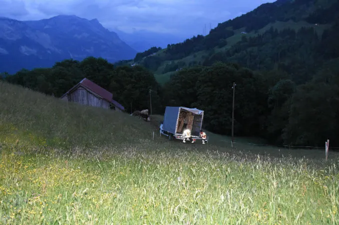 Flumserberg SG - Lieferwagen bleibt in der Wiese stecken