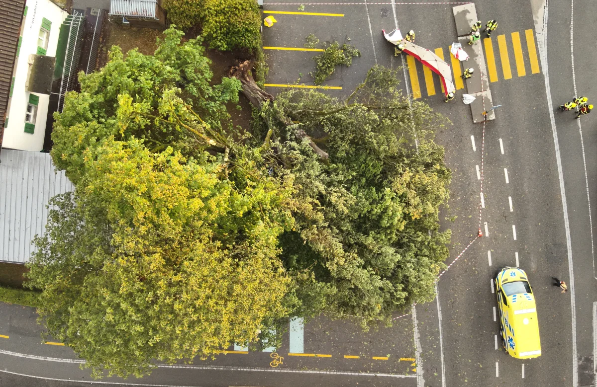 Ein großer Baum liegt quer über einer Straße, während Einsatzkräfte und ein gelbes Rettungsfahrzeug vor Ort sind.