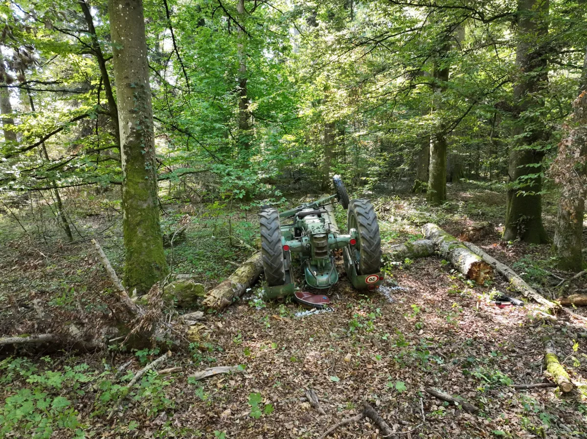 Ein grüner Traktor liegt umgestürzt auf einem Baumstamm in einem dichten Wald. Die Umgebung ist grün und zeigt typisches Waldgelände.