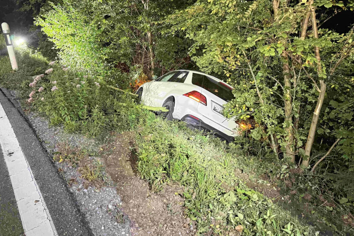 Ein weißes Auto ist von der Straße abgekommen und in einem bewachsenen Graben gelandet. Es ist von Gras und Bäumen umgeben, während ein Teil der Straße am linken Bildrand sichtbar ist.