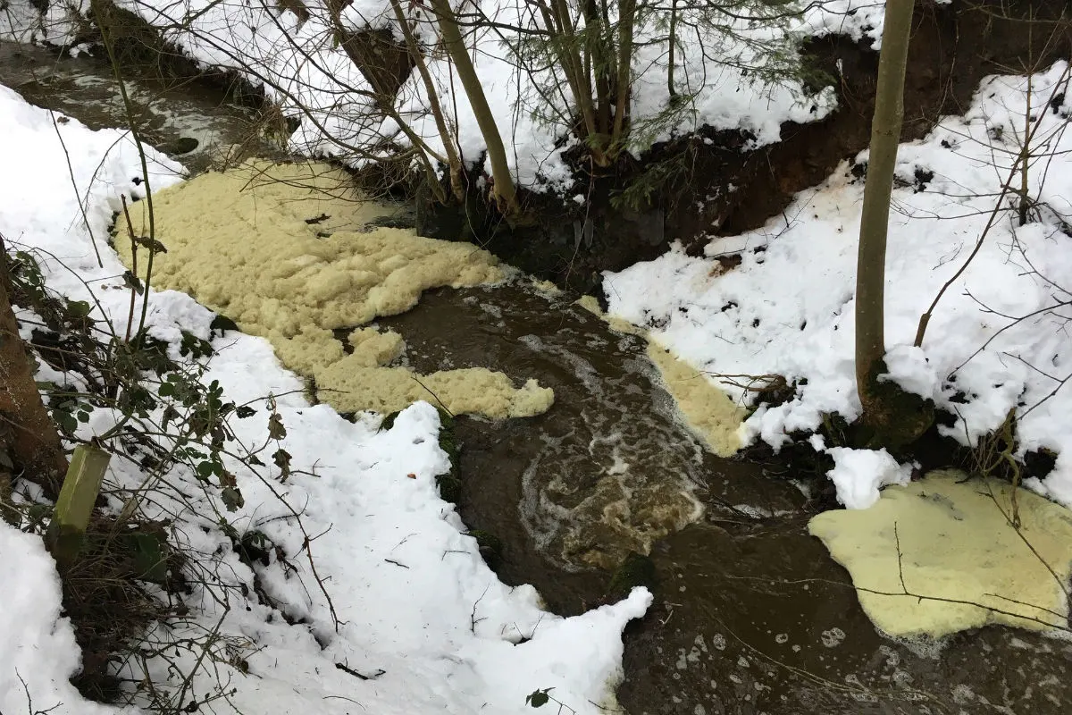 Baar ZG - Schwarzenbach nach Gülleunfall verschmutzt