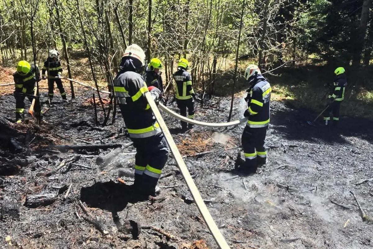 Mehrere Feuerwehrleute in Schutzkleidung arbeiten gemeinsam an einer Waldbrandstelle. Der Boden ist dunkel und verkohlt.