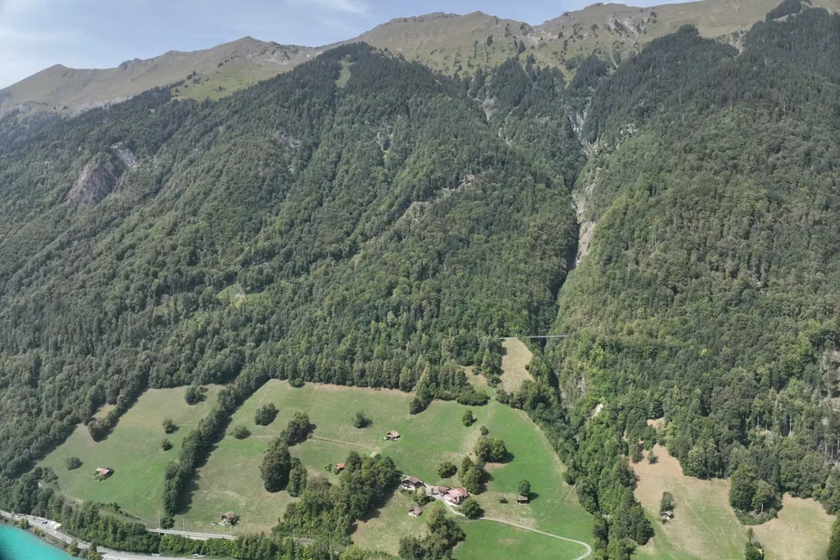 Luftaufnahme zeigt bewaldete Berghänge und grüne Felder, durchzogen von Wanderwegen. Im Hintergrund sind heitere Berge zu sehen.