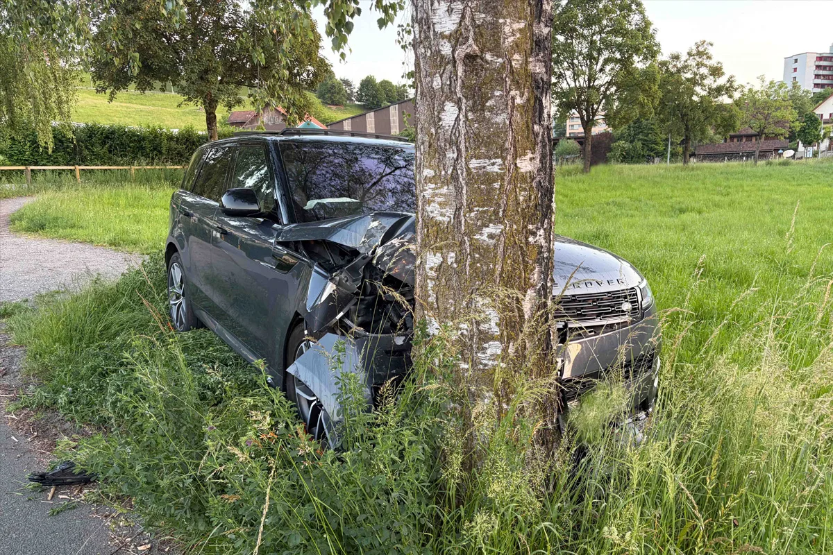 Ein dunkles Fahrzeug ist frontal mit einem Baum kollidiert. Es steht auf einer grünen Wiese in einem ländlichen Bereich bei Tageslicht.