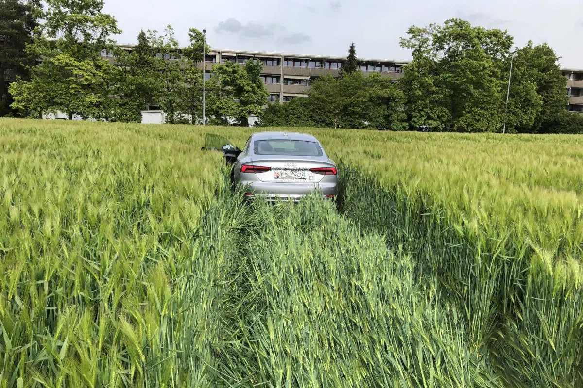 Arisdorf BL / Rheinfelden AG - Personenwagen landet bei Flucht vor der Polizei in einer Wiese 