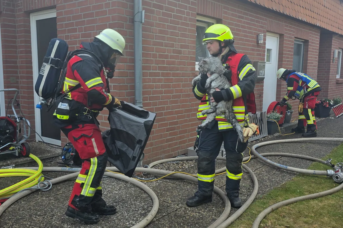 Bad Segeberg SH – Zwei Katzen bei Brand von Haus gerettet
