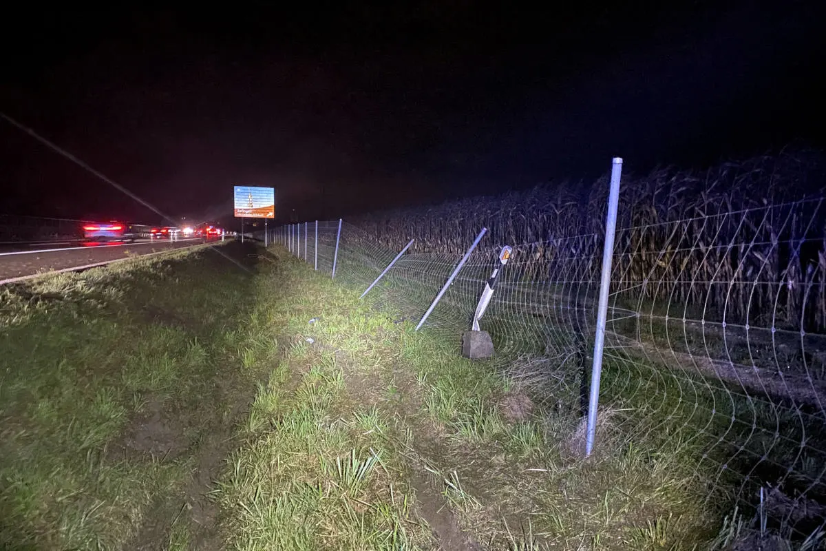 A1 Walterswil AG – Bei Unfall überschlagen und in Wildschutzzaun gekracht – Fahrer fährt danach davon