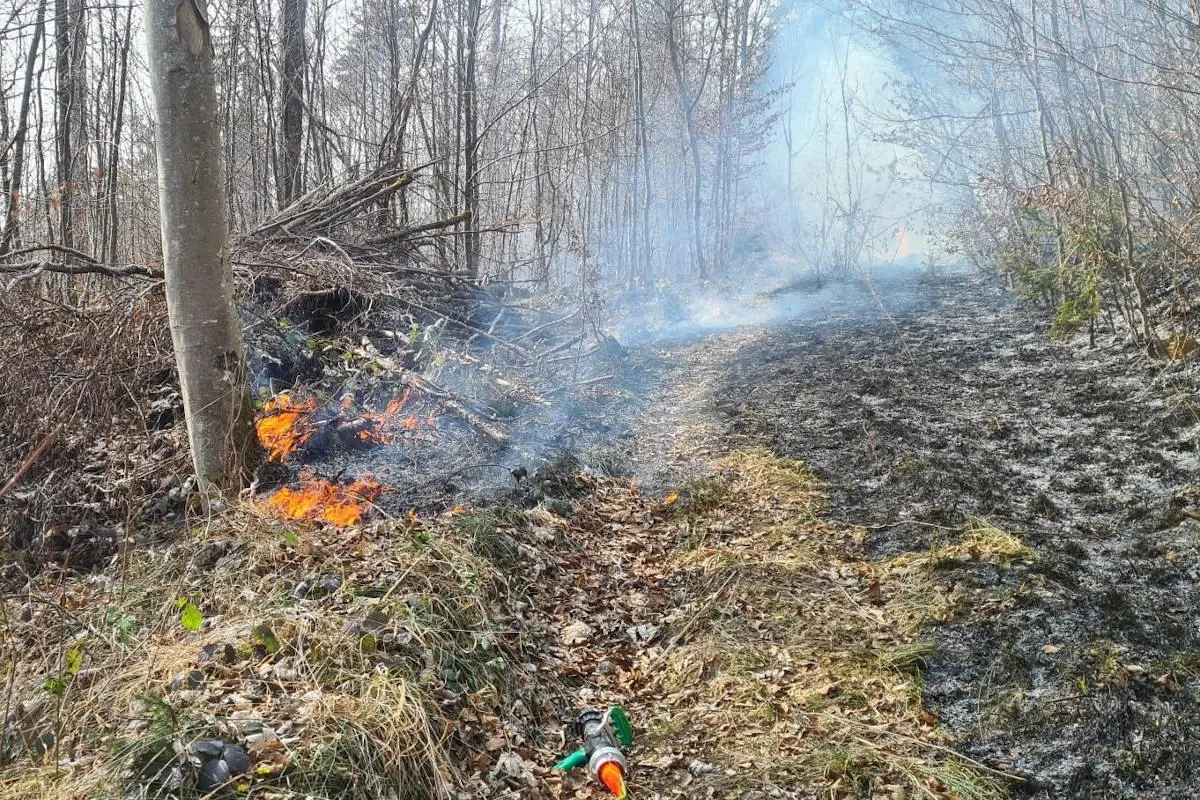 Balsthal SO – Feuerwehreinsatz wegen brennendem Waldboden