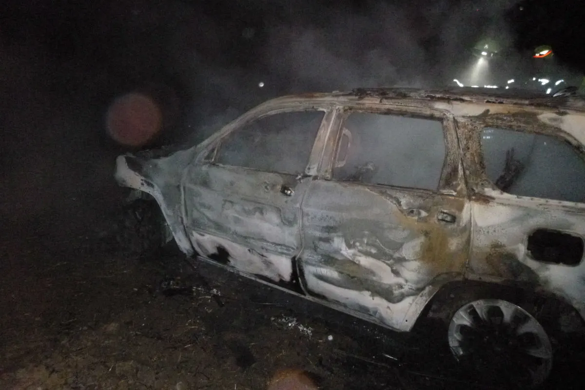 Alzey - Auto entwendet und in Brand gesteckt