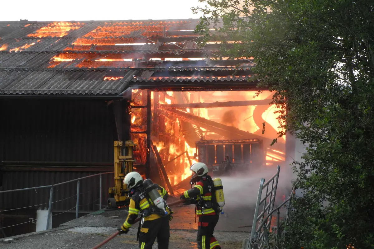 Bennau SZ - Stall niedergebrannt, Tiere gerettet