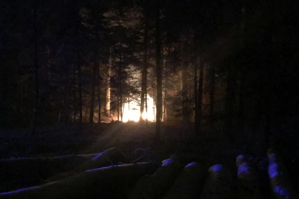 Reinach BL - Brand einer Waldhütte erfordert Feuerwehreinsatz