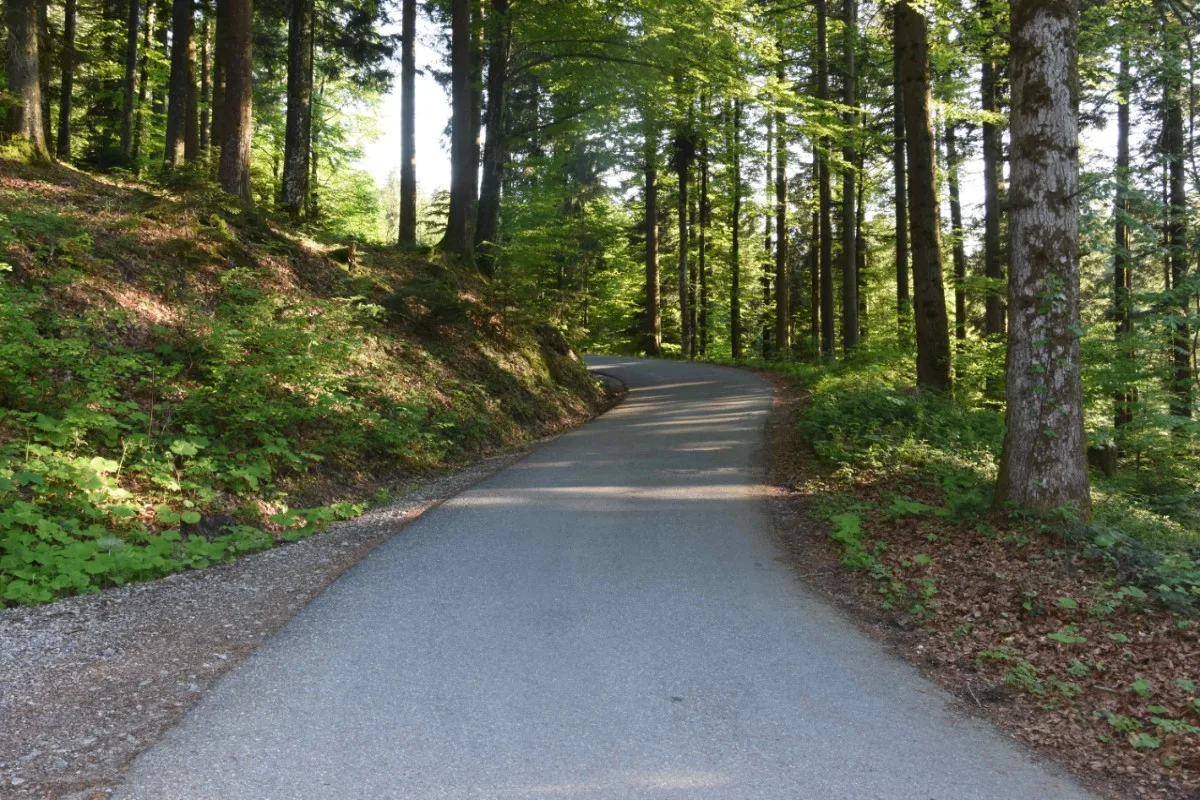 Ricken SG - Velofahrer kollidiert mit Auto