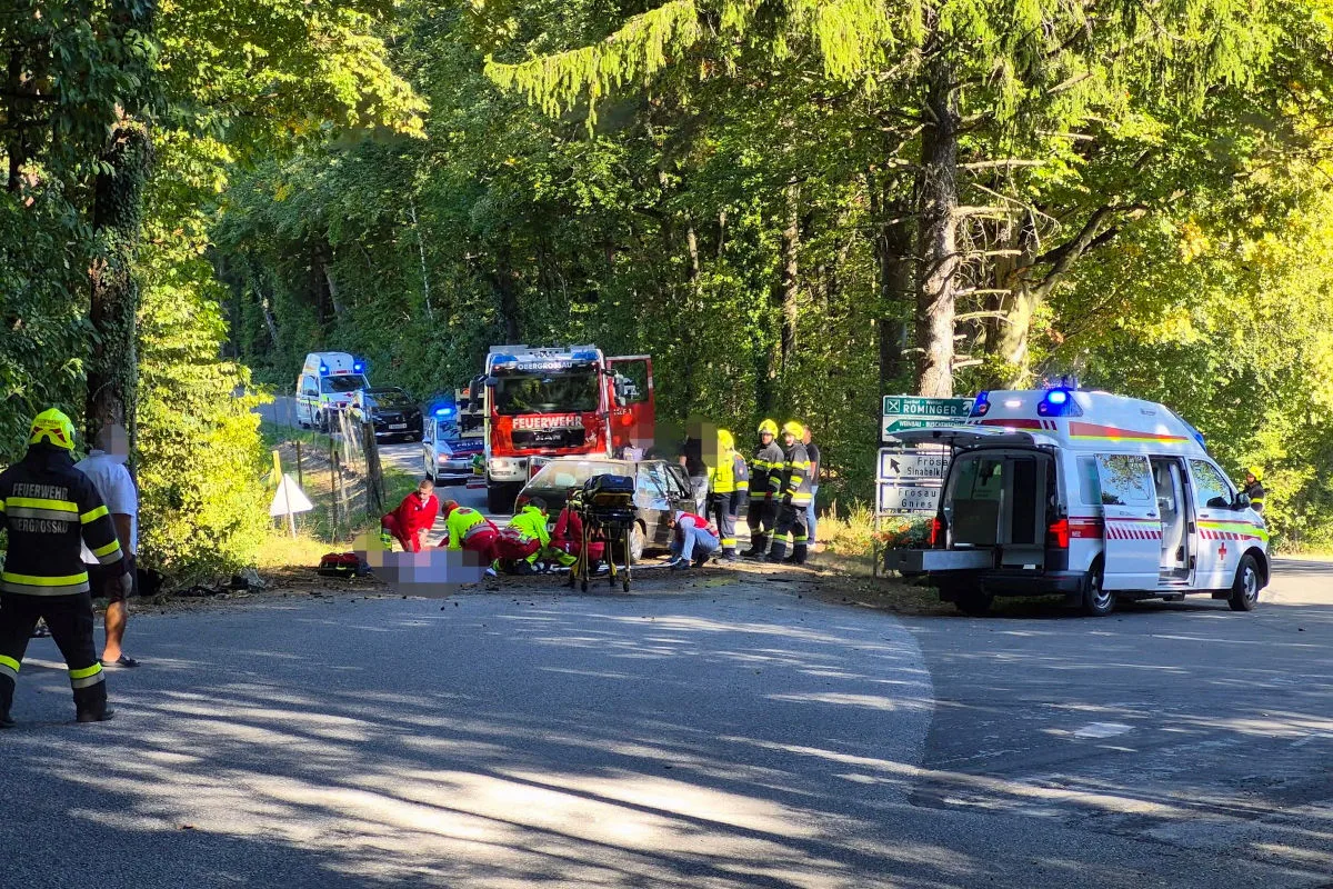 Mehrere Rettungskräfte sind um ein beschädigtes Auto am Straßenrand in einem Waldgebiet versammelt. Ein Feuerwehrauto und ein Rettungswagen stehen bereit.