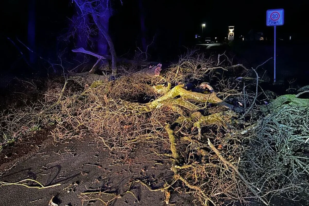 Sturm in Schermbeck NW - Baum auf die Fahrbahn gestürzt 