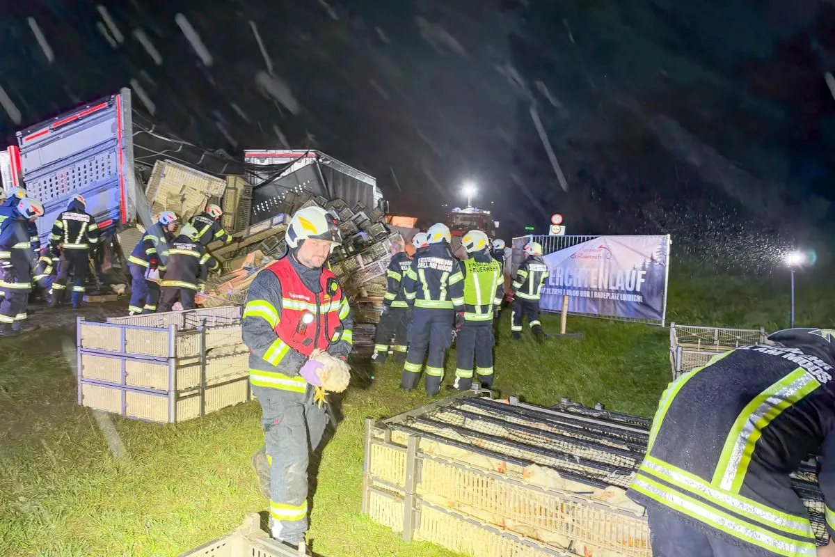 Feuerwehrleute retten in der Nacht Tiere aus umgekippten Kisten neben einem verunglückten Lastwagen. Mehrere Personen tragen Helme und reflektierende Kleidung.