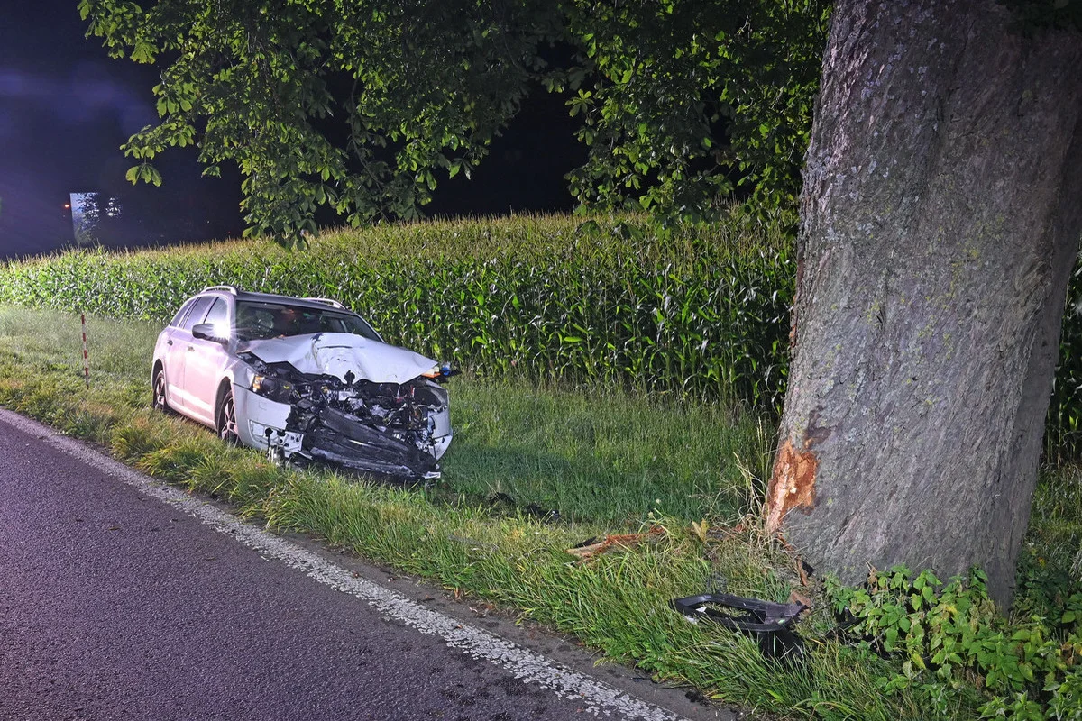 Kanton Luzern - Zwei Autos auf Gleisen - Mit Baum kollidiert