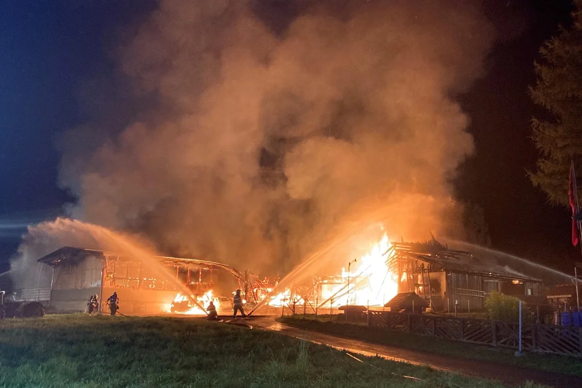 Trachslau SZ - Stall niedergebrannt, zwei Kälber tot