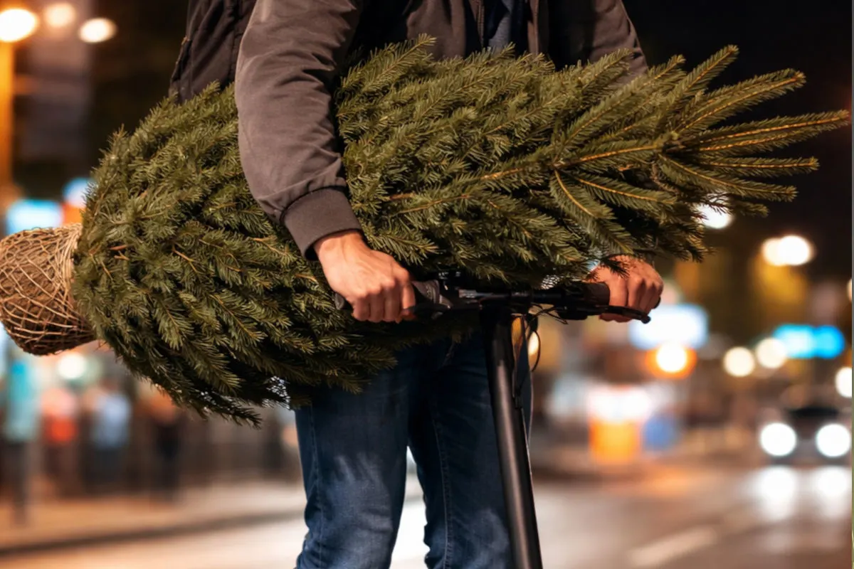 Kuriose Kontrolle in Mondsee – Weihnachtsbaum auf Scooter