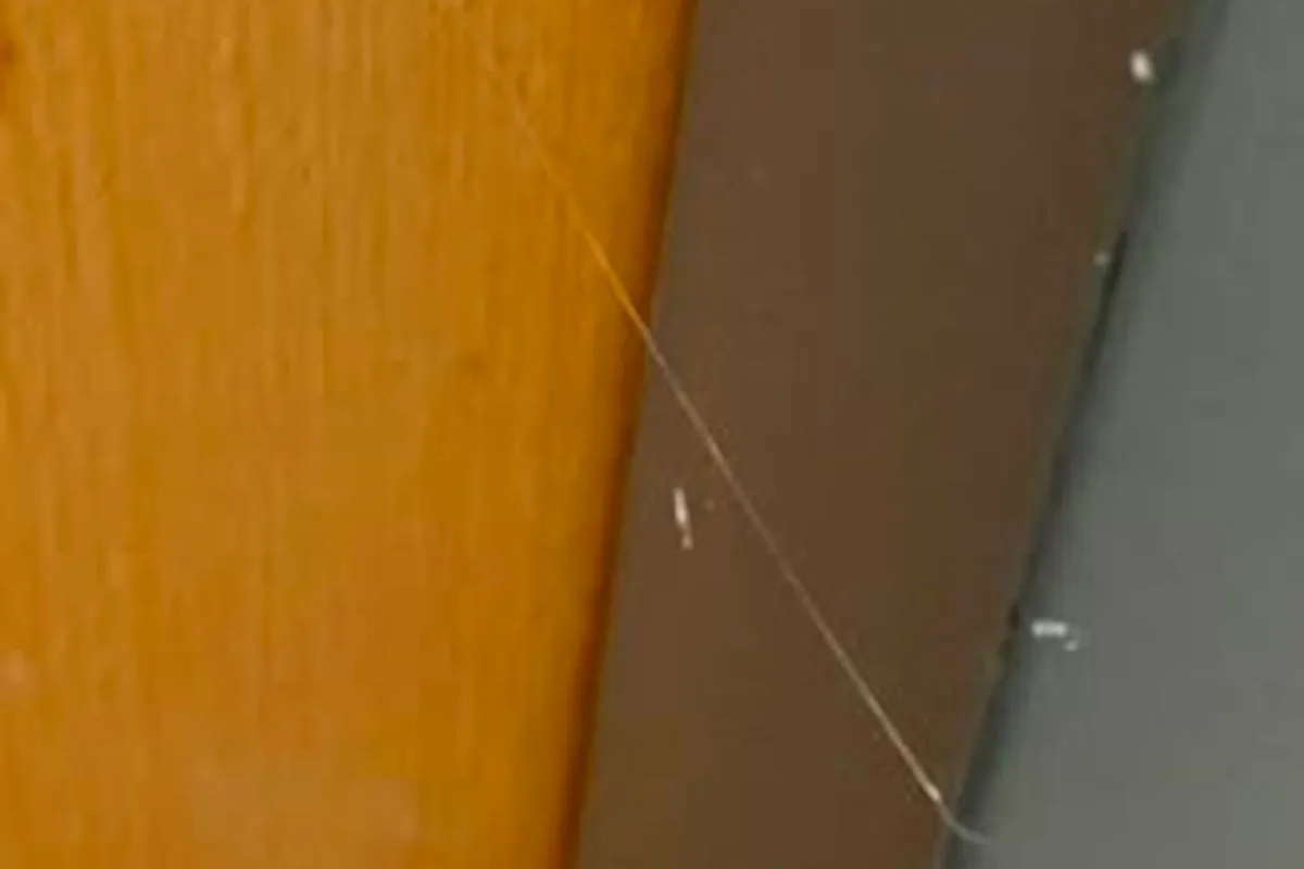 In der Ecke eines Raumes befindet sich ein Spinnennetz, das sich zwischen einer orangefarbenen und einer grau-braunen Wand erstreckt. Der Raum scheint wenig beleuchtet oder unbeaufsichtigt zu sein, was durch die Anwesenheit des Netzes angedeutet wird.