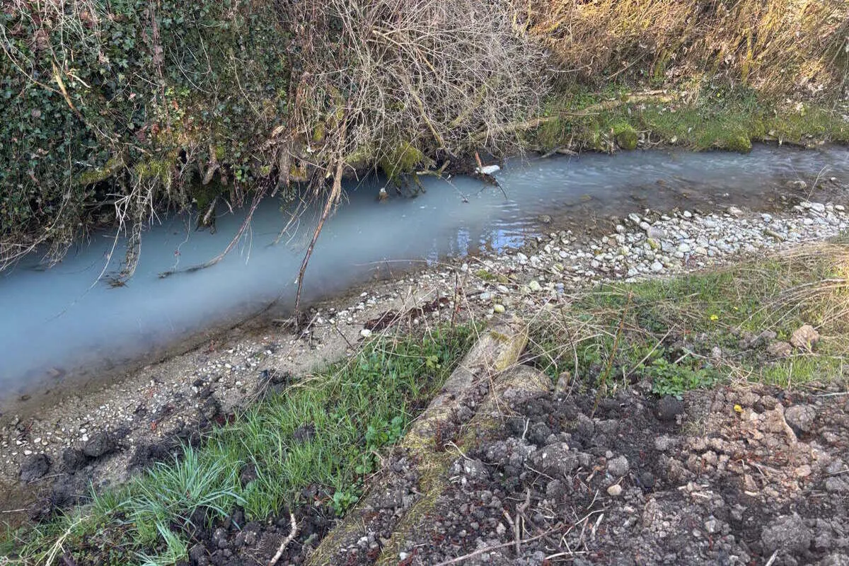 Mühlrüti SG – Mühlrütibach durch Milch verschmutzt