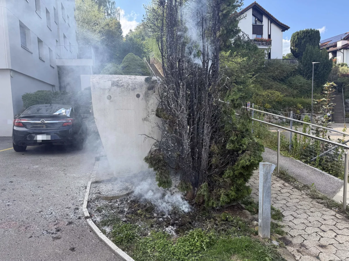 Wittenbach SG – Thujahecke gerät bei Abflammarbeiten in Brand