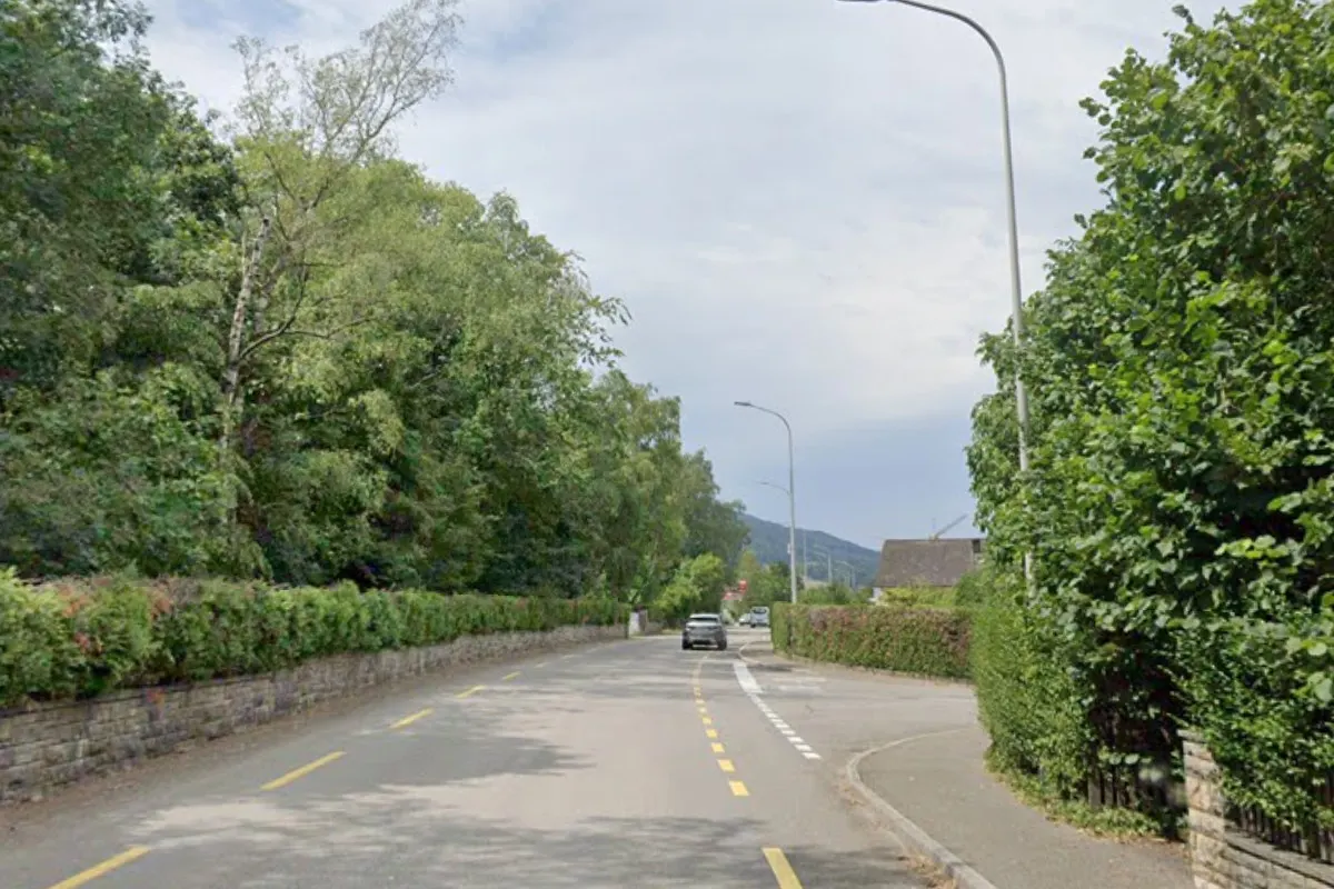 Eine kurvige Straße führt durch eine grüne, baumreiche Landschaft. Ein Auto fährt die Straße entlang, umgeben von Straßenlaternen und Natur.