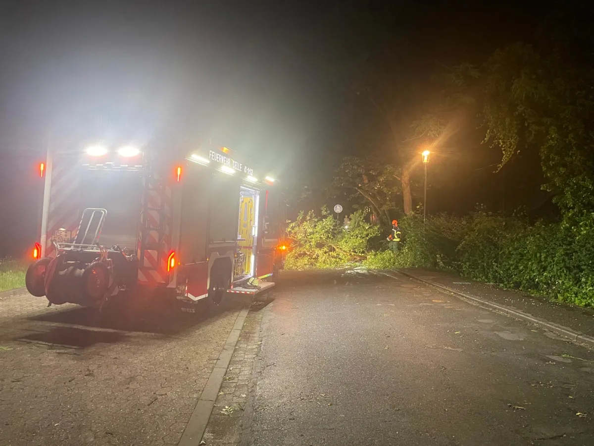 Ein Feuerwehrfahrzeug steht nachts mit eingeschaltetem Blaulicht auf einer Strasse. Ein umgestürzter Baum blockiert die Fahrbahn, ein Feuerwehrmann ist am Rand zu sehen.