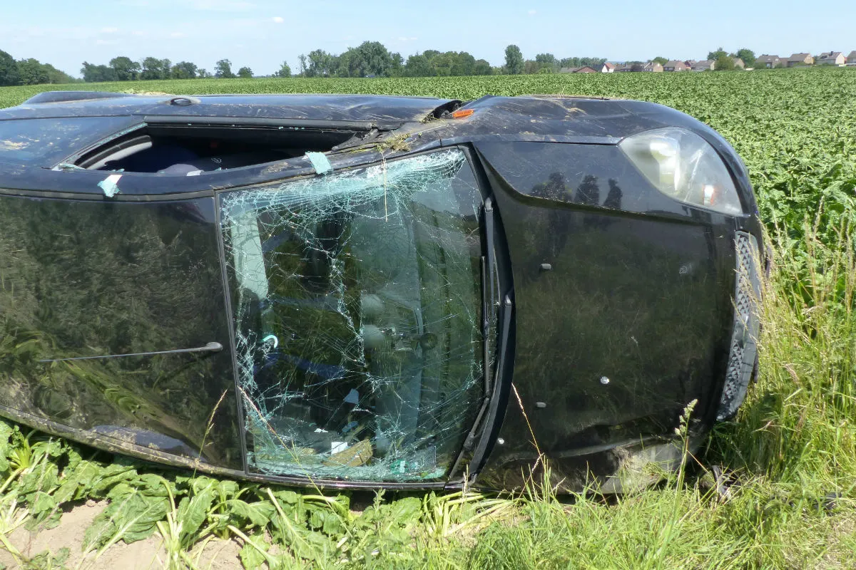 Wegen Biene spektakulären Unfall verursacht