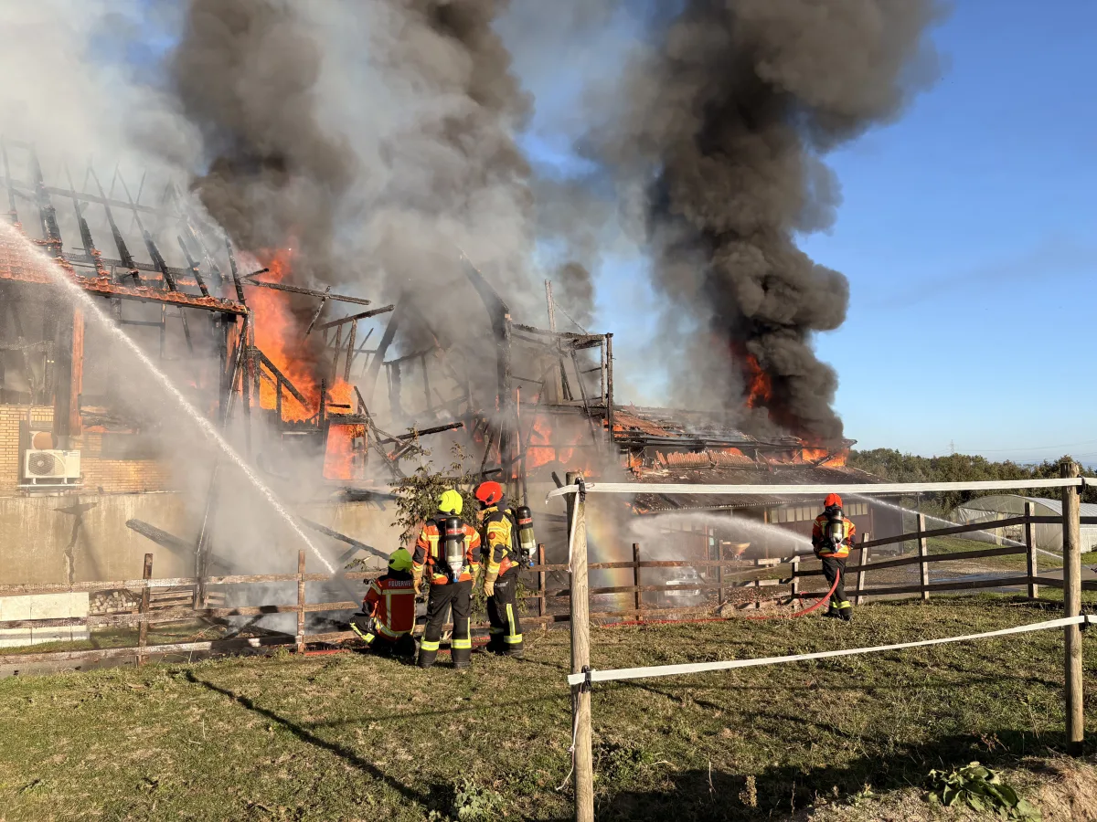 Mehrere Feuerwehrleute in Einsatzkleidung bekämpfen mit Wasserschläuchen einen großen Brand in einem einstürzenden Gebäude. Dichter Rauch steigt auf.