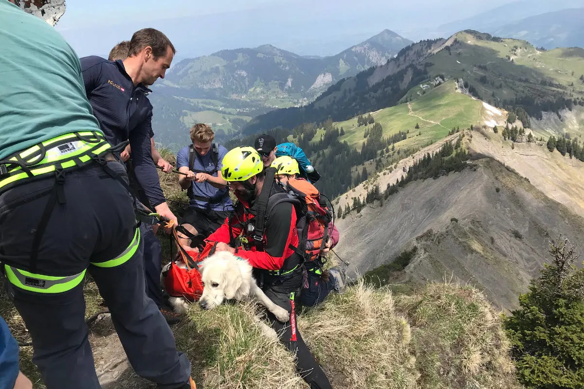 Hunderettung am Hohen Freschen