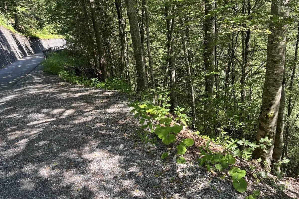 Vättis SG - Velofahrer wird nach Unfall ins Spital geflogen