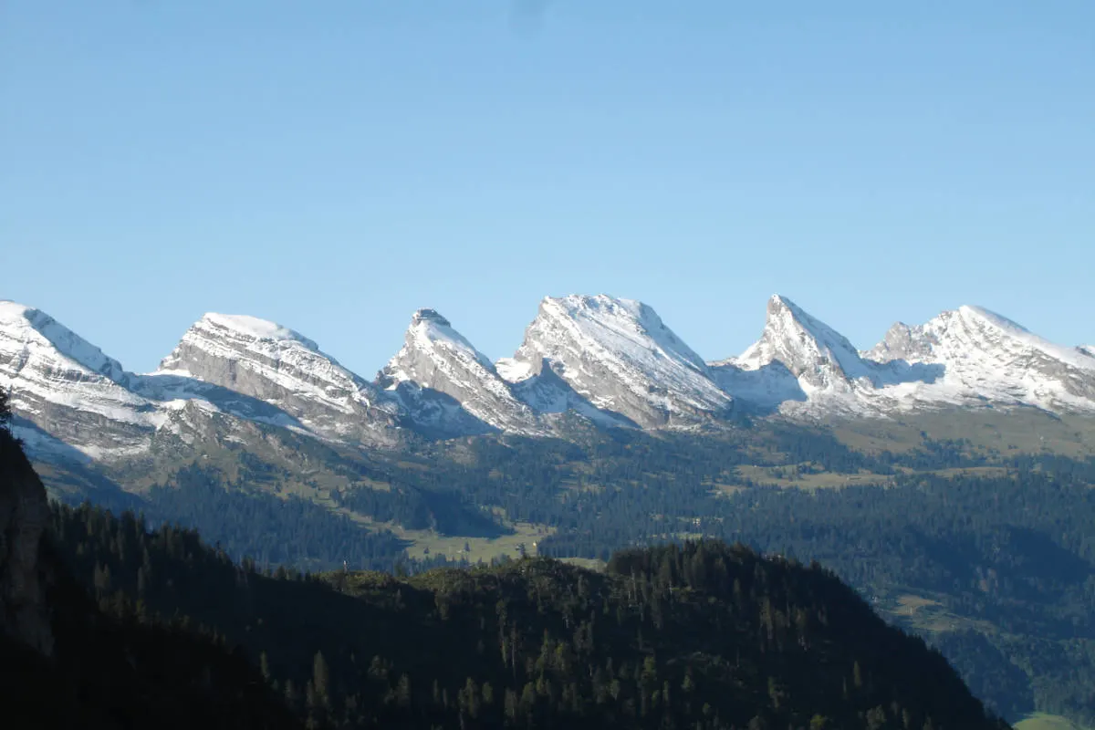 Walenstadtberg SG - Wingsuitpilot stürzt ab und stirbt   
