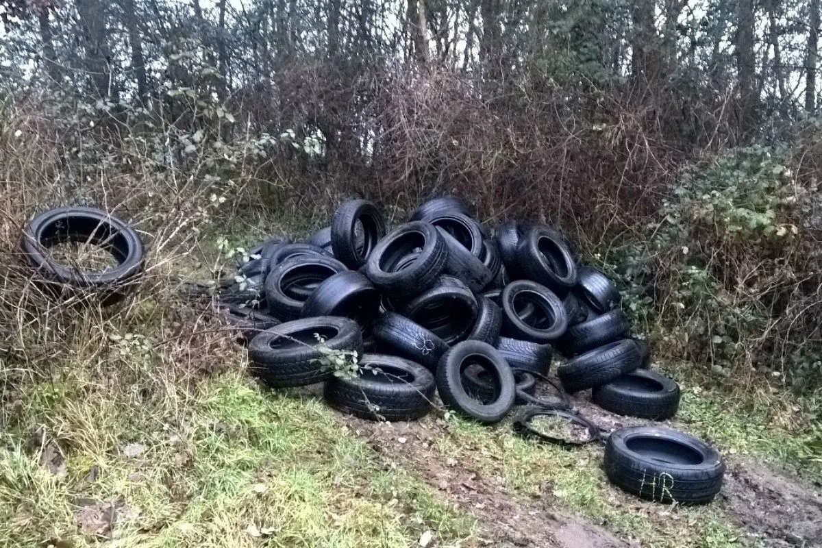 Altenglan - Illegale Altreifenablagerung im Wald