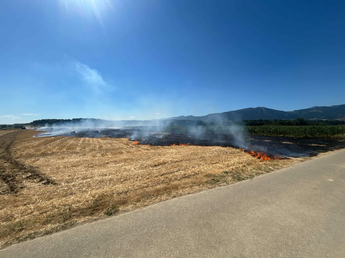 Ein Feuer breitet sich entlang eines abgeernteten Feldes aus, mit deutlichen Rauchschwaden unter einem blauen Himmel.