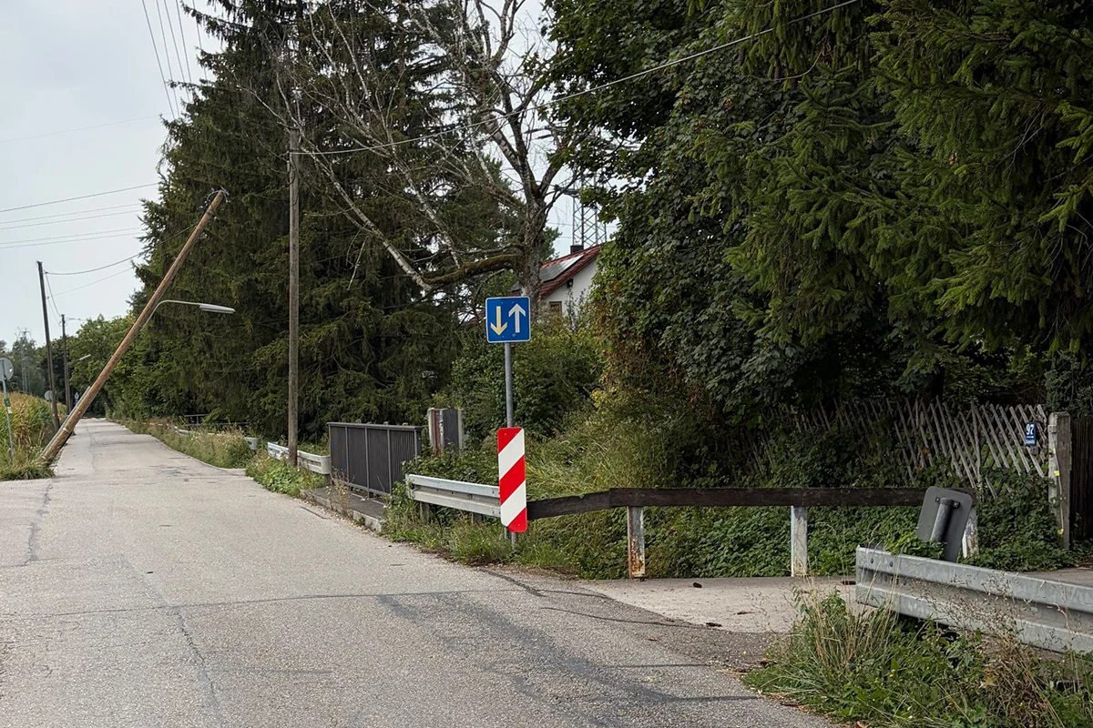 Ein schief stehender Strommast lehnt gegen Bäume am Straßenrand und hat die Leitplanke beschädigt. Der Himmel ist bewölkt.