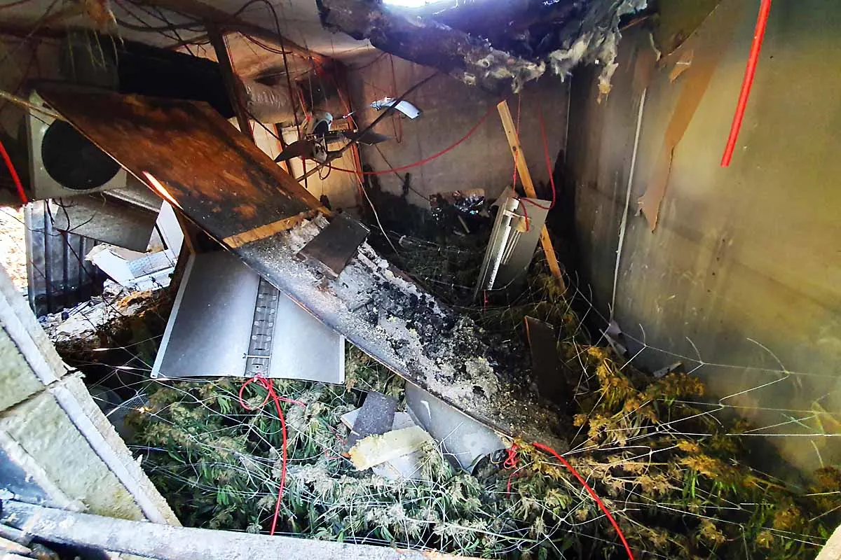 Dortmund - Nach Brand in Werkstatt - Polizei entdeckt Hanfplantage
