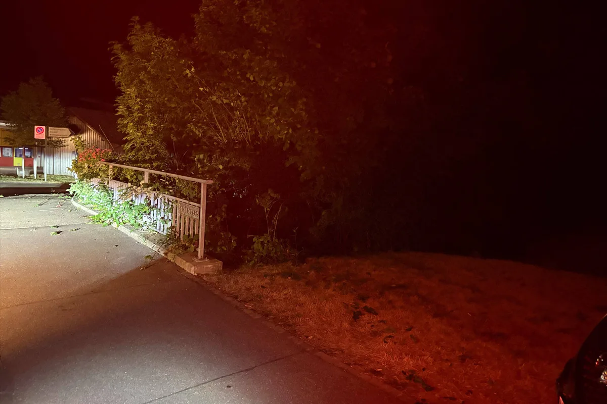 Eine Nachtaufnahme zeigt eine Straße neben einer Böschung, umgeben von dichter Vegetation. Das Bild ist dunkel und spärlich beleuchtet.