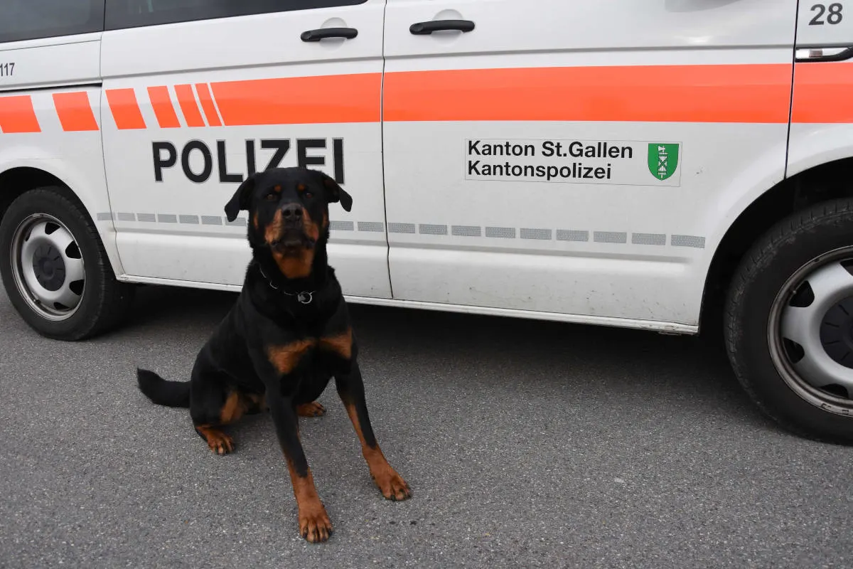 Eggersriet SG – Mutmasslicher Einbrecher von Polizeihund angehalten