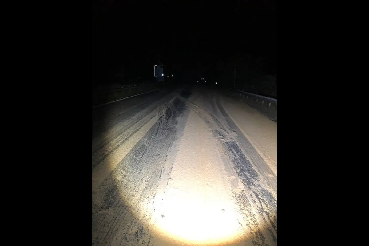 A65 Landau - Autobahn wegen Tierfutter gesperrt