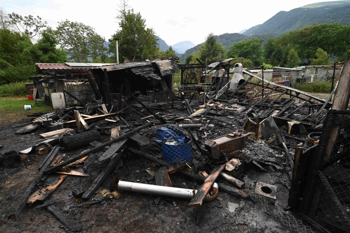 Auf einem ländlichen Grundstück sind die verkohlten Reste einer Holzhütte zu sehen. Umgeben von Bäumen und Bergen zeugen die Trümmer von einem schweren Brand.