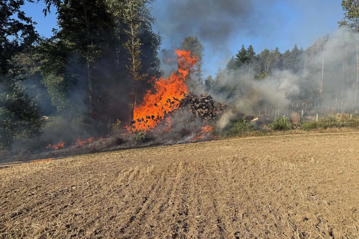 Ein Stapel Holzstämme brennt lichterloh auf einem offenen Feld. Im Hintergrund sind Bäume und Rauch sichtbar.