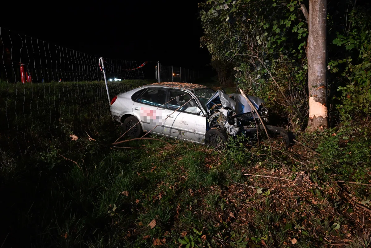 Ein weißer Pkw ist schwer beschädigt und steht neben einem Baum, der eindeutige Spuren des Aufpralls zeigt. Die Szene ist bei Nacht aufgenommen.