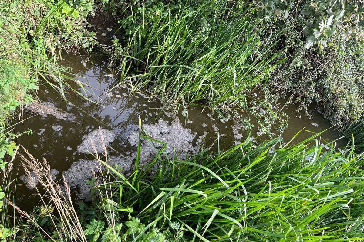 Niederhelfenschwil SG - Jauche im Zechenwisenkanal