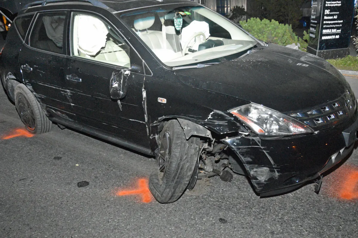 Schaan/Triesen FL - Zwei Selbstunfälle wegen Alkohol und Tier