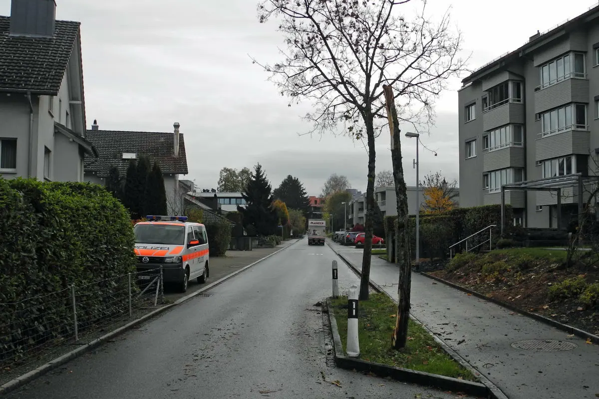 Lachen SZ - Mit Baum kollidiert und weitergefahren