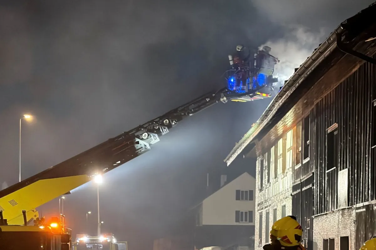 Zwei Feuerwehrmänner stehen auf einer erhöhten Drehleiter und bekämpfen ein Feuer an einem mehrstöckigen Gebäude. Es ist Nacht, und Lichtstrahlen beleuchten die Szene.