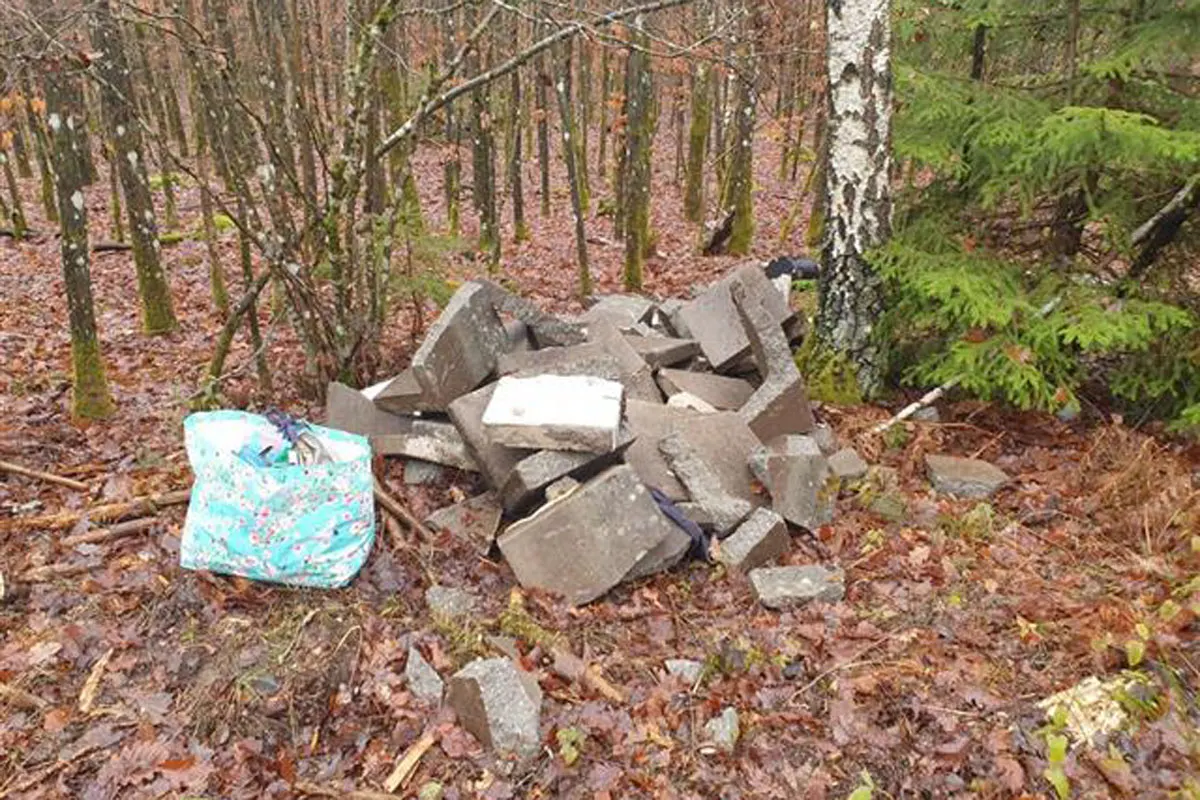 Eppenbrunn - Illegale Müllentsorgung beim Eulenfelsen